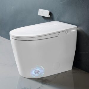 Image 1 of BYBARENOVA BBR-M02A smart toilet review