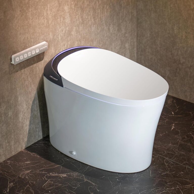 CANEST Smart Toilet Review: Honest Pros & Cons Worth Buying? 35 Image 1 of CANEST smart toilet review